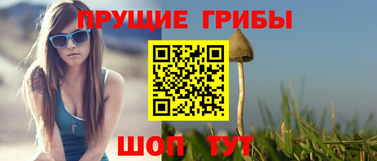 Воскресенск  Галлюциногенные грибы Cubensis  Галлюциногенные грибы ЛСД  Вход с VPN 