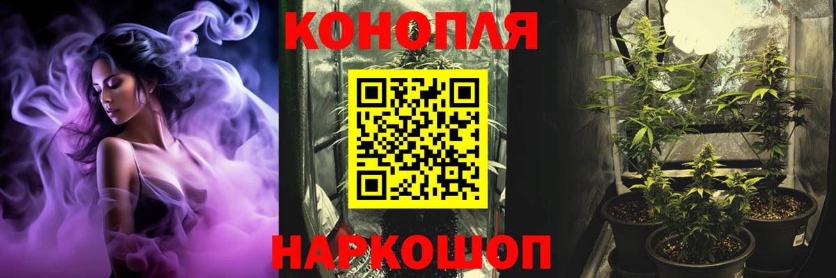 Конопля план  Вход с VPN  Каннабис Bruce Banner  Воскресенск  Марихуана сатива 